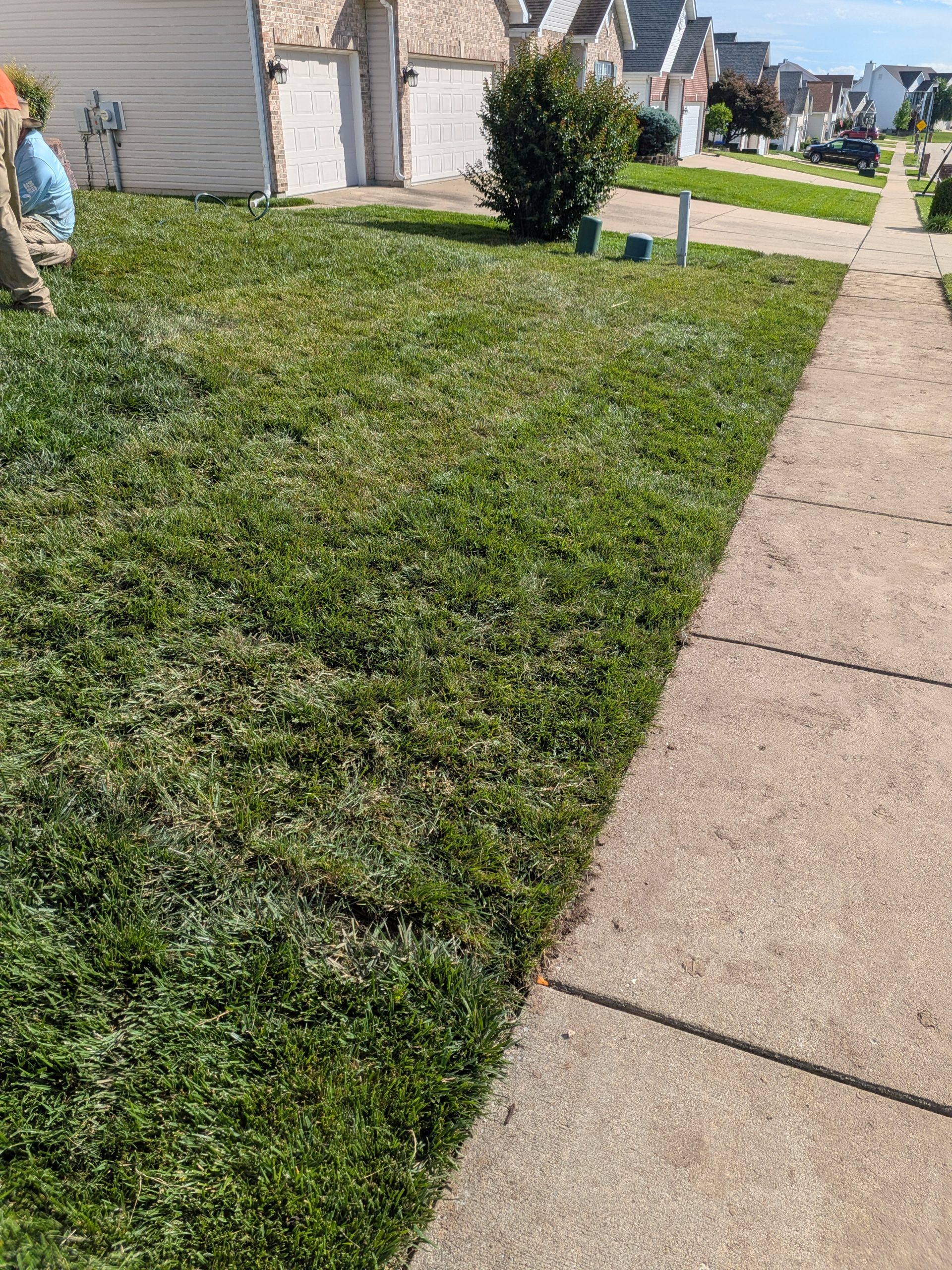 Sod installation St. Charles MO